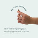 Dr Sosnowski's BioActive Reishi Mushroom Capsules | Potent 1000mg High Strength Reishi Mushroom Extract (120 Capsules)