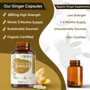 Organic Ginger Supplement - High Strength 1300mg - Soil Association Certified - 2 Ginger Root Capsules Per Serving - Vegan Joint & Digestion Supplement