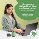 Lions Mane Supplement Gummies - Added Vitamin B6, B12 for Mental Performance - High-Strength Alternative to Lions Mane Powder - Lion's Mane Mushroom Gummies - Lions Mane Gummies for Adults - Novomins Lions Mane Supplement Gummies - Added Vitamin B6, B12 for Mental Performance - High-Strength Alternative to Lions Mane Powder - Lion's Mane Mushroom Gummies - Lions Mane Gummies for Adults - Novomins