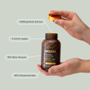 Dr Sosnowski's BioActive Lion's Mane Mushroom Capsules | Potent 1000mg High Strength Lion's Mane Extract (120 Capsules)