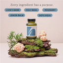 The Herbtender Focus & Clarity  Lion's Mane Focus Supplement with Holy Basil, Rosemary & Adaptogens for Memory, Concentration & Cognitive Support, Vegan, Organic Capsules, 60 Capsule Pouch