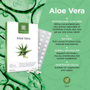 Healthspan Aloe Vera 10,000mg (180 Tablets) | Supports Normal Metabolism | 10,000mg Pure Aloe Vera Gel | Helps to Maintain a Normal Immune System | Added B Vitamins | Vegan