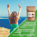 Chaga Mushroom Extract - 100g Powder - Russian Wild Grown - 30% Polysaccharides - 2% Triterpenes - Dual Extracted - Zero Additives (100 Powder Pouch)