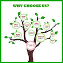 Chaga Mushroom Extract - 100g Powder - Russian Wild Grown - 30% Polysaccharides - 2% Triterpenes - Dual Extracted - Zero Additives (100 Powder Pouch)