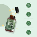 Ginkgo Biloba and Ginseng 6600mg - 365 Tablets - 1 Year Supply - 1 Tablet a Day - with Flavone Glycosides and Terpene Lactones - Vegan & Non-GMO - Ginseng and Ginkgo Biloba Complex Herbal Supplement