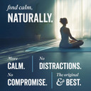 Grass & Co. | Dream Reishi Mushroom + Magnesium Sleep Capsules | Supports Deep Sleep & Relaxation | 60 Capsules | Reishi, Magnesium, Sage, Vitamins B5, B6 & D