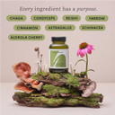 The Herbtender Daily Defence  Immune Support Supplement with Organic Reishi, Chaga, Cordyceps, Echinacea & Acerola Cherry Vitamin C, Vegan Adaptogen Blend for Respiratory Health, 60 Capsule Pouch