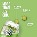 CBDfx 1500mg High Strength Turmeric Spirulina CBD Gummies 25mg Turmeric 10mg Spirulina 25mg CBD per Gummy 60x Bottle (30 Days)