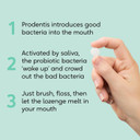 BioGaia Prodentis Oral Probiotics for Gums & Teeth | Innovative Dental Probiotics to Strengthen Teeth & Enamel | Unique Lactobacillus Reuteri | 30 Lozenges with Xylitol, no Added Sugar  Mint Flavour