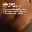 Gut Works® | 6 Prebiotics and Probiotic Strains | 50 Billion CFU Bacteria Live Cultures | Daily Support for Gut Health | 30 Vegan Capsules | One-A-Day | DR.Vegan