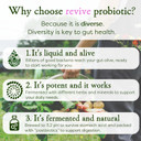 MICROBZ Breathe Liquid PROBIOTIC  Bio Culture Complex Probiotics for Gut Health, Respiratory Support Supplement, Multi Strain Live Friendly Bacteria for Women, Men & Kids - Vegan | 1 Month Supply MICROBZ Breathe Liquid PROBIOTIC  Bio Culture Complex Probiotics for Gut Health, Respiratory Support Supplement, Multi Strain Live Friendly Bacteria for Women, Men & Kids - Vegan | 1 Month Supply