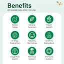 Ved Magnesium 3-in-1 Complex, Supplements as Magnesium Bisglycinate 400 mg, Oxide & Malate, Triple High Absorption 384mg Elemental,90 Vegan Capsules(45 Days Supply)