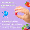 Chewy Vites Adult Gummies Magnesium Citrate 736mg Offering 82.5mg of Elemental Magnesium, 60 Vitamin Gummies, 2 Months Supply, Real Fruit Juice, Vegan, Berries Flavour