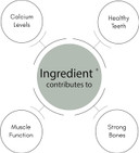 SynBio Premium - Calcium + Vitamin D3 | 90 Vegan Capsules for Enhanced Bone & Teeth Strength | Reduced Risk of Osteoporosis | Free from Dairy, Gluten, Gelatine, SOYA, Sugar | Halal & Kosher