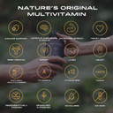 APE Nutrition Beef Organs Grass Fed - Liver Kidney Heart Organ Capsules, Ancestral Supplement UK, 100% Grass Fed & Finished, No Antibiotics Hormones or GMOs, 180 500mg Capsules