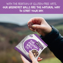 Protein Balls Blueberry Oat Muffin Flavour by The Protein Ball Co- Pack of 18 Breakfast Balls - 100% Natural Plant Based Vitamin Enriched - 3x45g Bags - High Fibre Gluten Free No Artificial Sweeteners