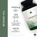 Betaine Hydrochloride (HCl) with Pepsin - 440mg Betaine per Capsule - 120 Vegan Capsules - Non-GMO, Made in The UK by G&G Vitamins