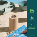 Nuzest - Protein + Microbiotics  Gut Health - Plant Protein Powder - French Vanilla, 300g (10 Servings)