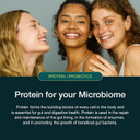 Nuzest - Protein + Microbiotics  Gut Health - Plant Protein Powder - Rich Chocolate, 300g (10 Servings)