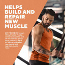 Myprotein Impact Whey Protein Powder. Muscle Building Supplements for Everyday Workout with Essential Amino Acid and Glutamine. Vegetarian, Low Fat and Carb Content - Cookies and Cream, 1kg