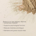 WILD NUTRITION Food-Grown® Vegan Protein Powder Super Food Blend | Organic Ingredients No Synthetics | Pea Protein, Sprirulina, Reishi, Chaga, Wheatgrass & More | Gluten Free WILD NUTRITION Food-Grown® Vegan Protein Powder Super Food Blend | Organic Ingredients No Synthetics | Pea Protein, Sprirulina, Reishi, Chaga, Wheatgrass & More | Gluten Free