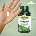 Natures Aid Fenugreek 500mg  High Strength Vegan Supplement for Daily Wellness  Supports Digestion, Metabolism & Energy  Gluten-Free, Non-GMO, Natural Extract  90 Capsules