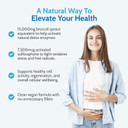 Health4All Broccoli Sprout Extract 15,000mg - 7500mcg Activated Sulphoraphane - 60 Vegan Broccoli Extract Capsules - High Strength Sulforaphane Supplement