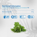 Health4All Wormwood 250mg 90 Capsules, Purest Vegan Artemisia Absinthium Supplement for Adults | Intestinal Cleanse, Supports Bile Production | Made in UK