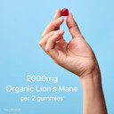 TRIP Lions Mane Gummies, Raspberry, High Strength, 60,000MG Lions Mane per Pack (60 Gummies), Focus Supplement, Vegan, Sugar-Free & 3rd Party Tested TRIP Lions Mane Gummies, Raspberry, High Strength, 60,000MG Lions Mane per Pack (60 Gummies), Focus Supplement, Vegan, Sugar-Free & 3rd Party Tested
