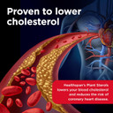 Healthspan Plant Sterols 2400mg  90 Tablets  High Strength  Supports Normal Cholesterol Levels  UK Manufactured