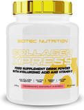 Scitec Nutrition Collagen Xpress  15g Collagen per Dose  Gluten-Free, Sugar-Free Lactose-Free  with Vitamin C & Hyaluronic Acid, 475 g, Pinapple