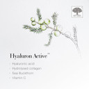 New Nordic Hyaluron Active - Contains Hyaluronic Acid, Sea Buckthorn, Tagetes & Vitamin C - 30 Tablets