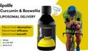 Liposomal Boswellia, Curcumin and Hydroxytyrosol 240ml - lipolife LLT2. Formulated with Aqualox, C3 Complex and Hytoliv. Advanced Nutrient delivery for Athletes. Higher Absorption