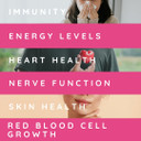 WELL ACTUALLY Liposomal Vitamin B12 Spray 1200mcg - High Bioavailability High Absorption Vegan B12 Methylcobalamin Oral Spray for Energy, Brain, Immunity - Very Berry (180 Sprays)