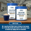 Applied Nutrition Creatine Flavoured - Creatine Monohydrate Micronized Powder with Flavour, Increases High-Intensity Physical Performance (250g - 50 Servings) (Strawberry & Raspberry) Applied Nutrition Creatine Flavoured - Creatine Monohydrate Micronized Powder with Flavour, Increases High-Intensity Physical Performance (250g - 50 Servings) (Strawberry & Raspberry)