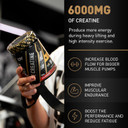 DY Nutrition The Creatine Complex 400g - High Performance Creatine Monohydrate Powder with Beta Alanine, Taurine + B Vitamins for Muscle Endurance, Pump & Recovery x40 Servings (Cherry Flavoured)