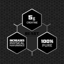 Beast | Creatine Monohydrate Powder 100 Servings (500G) 100% Pure Micronised Creatine Powder | Unflavoured