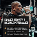 DY Nutrition HIT BCAA 4:1:1 + Glutamine, 450g, 30 Servings (Peach Flavour) Branch Chain Amino Acid Powder Drink for Optimal Pump & Performance | Pre & Intra Workout Supplement DY Nutrition HIT BCAA 4:1:1 + Glutamine, 450g, 30 Servings (Peach Flavour) Branch Chain Amino Acid Powder Drink for Optimal Pump & Performance | Pre & Intra Workout Supplement