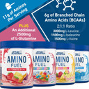 Applied Nutrition Bundle Amino Fuel 390g + Lifestyle Water Bottle 1000ml - Amino Acids Supplement, EAA Essential Amino Acids Powder, Muscle Fuel & Recovery (Fruit Burst)