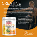 Medi-Evil Nutrition Creatine Monohydrate Shots Powder Vegan Friendly, Forest Fruit Flavour, 400g, 80 Servings, Micronised for Easy Mixing (Pack of 1 Tub)