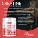 Medi-Evil Nutrition Creatine Monohydrate Shots Powder Vegan Friendly, Pineapple Flavour, 400g, 80 Servings, Micronised for Easy Mixing (Pack of 1 Tub)
