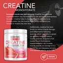 Medi-Evil Nutrition Creatine Monohydrate Shots Powder Vegan Friendly, Pineapple Flavour, 400g, 80 Servings, Micronised for Easy Mixing (Pack of 1 Tub)