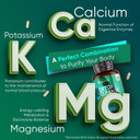 WeightWorld Detox & Cleanse - 180 Capsules - 2 Months Supply - High Strength & Vegan Detox & Cleanse Supplements - Prebiotics & Probiotic Complex - Colon Cleanse Tablets Alternative