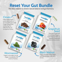 Health4All Strong Intestinal Health Set, Grapefruit Seed Extract, Wormwood, Black Walnut, Cloves, 4x90 360 Capsules, Candida Overgrowth Cleanse & Detox Antifungal Vegan Supplement | Made in UK