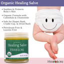Herb Lore Healing Salve Ointment - Organic Baby Diaper Rash Cream  Natural Soothing Balm With Calendula For Cradle Cap, Drool Rash, Dry & Irritated Skin, Face & Body (1.8 Oz)