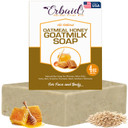 Cactus Honey & Oats Goat'S Milk Soap Bar 4 Oz  Natural Bar Soap For Women, Men, Kids, Itchy Skin, Eczema, Psoriasis, Rash, Sunburn Skincare  Calming Colloidal Oatmeal Face Cleanser & Body Wash Cactus Honey & Oats Goat'S Milk Soap Bar 4 Oz  Natural Bar Soap For Women, Men, Kids, Itchy Skin, Eczema, Psoriasis, Rash, Sunburn Skincare  Calming Colloidal Oatmeal Face Cleanser & Body Wash