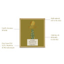 Forest Essentials Luxury Sugar Soap Oudh & Green Tea 125G