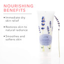 100% Pure Nourishing Body Cream French Lavender Lotion Luxurious Botanical Dry Skin Hydration & Replenishment, Natural Anti-Aging Moisturizer & Skincare For All Skin Types Women & Men - Vegan - 8 Oz