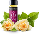 Oil Of Gladness Anointing Oil Rose Of Sharon - Oil For Daily Prayer 3.5Oz