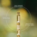 Eve Lom Renewal Treatment Oil - Skin Therapy Multi-Tasking Face Formula With 10 Nourishing Botanicals - Moisturizing Serum For Smooth Skin - Lightweight, Non-Greasy Hydration All Skin Types - 30 Ml